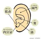 エイジングケア鍼灸サロン はりプラス 《オプション》耳つぼ療法のメニュー画像