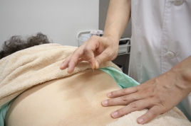 漢方薬・鍼灸　世珍堂 ”痛み”をとる鍼灸（整形外科疾患）のメニュー画像