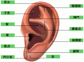 鍼灸整骨院ひなたぼっこ 耳ツボのメニュー画像