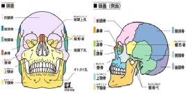 たした鍼灸治療院 頭蓋骨調整のメニュー画像