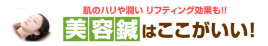 阪田鍼灸療院 美容はりのメニュー画像