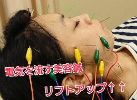 メニュー写真