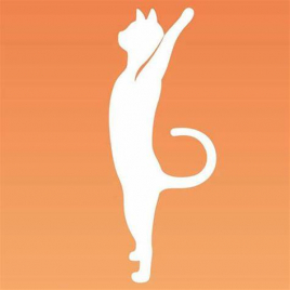 グランデセルティス 猫背矯正×電気を流す美容鍼のメニュー画像