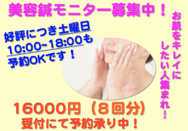 橋本みなみ鍼灸整骨院 美容鍼モニター（8回分）のメニュー画像