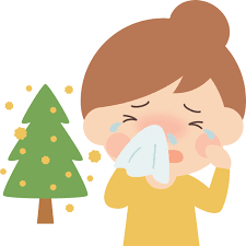 そら鍼灸院 花粉症のメニュー画像