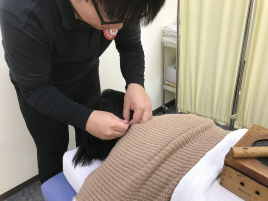 メニュー写真