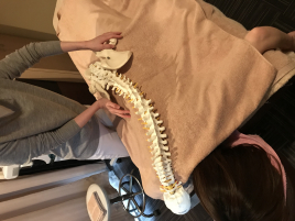 はりきゅう にしはら 東京白金 骨盤スペシャルのメニュー画像