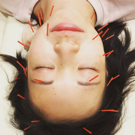 メニュー写真