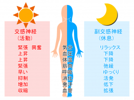 美容鍼専門サロン　 ラコンシェル　代々木上原店 【衛生管理徹底】自律神経失調症鍼灸治療のメニュー画像