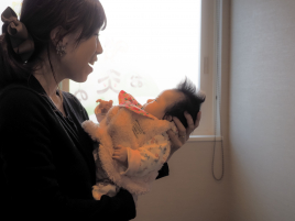 お灸の森　親子で通えるマッサージ・鍼灸院 女性専科『妊活しんきゅう』のメニュー画像