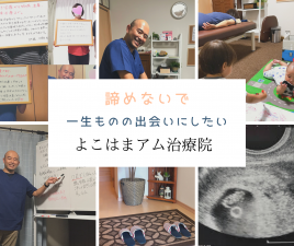 メニュー写真