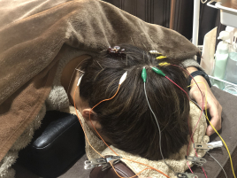 メニュー写真