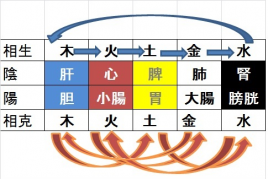 福本鍼灸院 健康維持コースのメニュー画像
