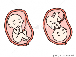 福本鍼灸院 逆子治療のメニュー画像