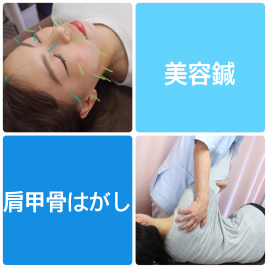 メニュー写真