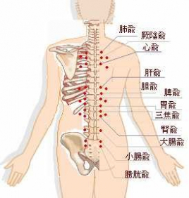 ハーモニレディース鍼灸院 全身コースのメニュー画像