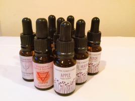 鍼灸仲町台治療院 フラワーエッセンスフラセラピーのメニュー画像