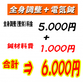 和泉府中オステオパシーセンター 全身調整(整体)+電気鍼コースのメニュー画像