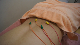 顎関節症・美容鍼専門　つばさ鍼灸院 身体の鍼治療（1部位）のメニュー画像