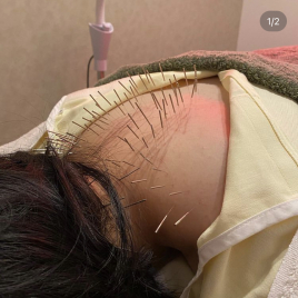 メニュー写真