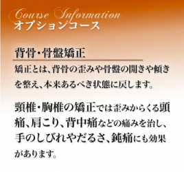 アリス鍼灸整骨院 背骨・骨盤矯正のメニュー画像