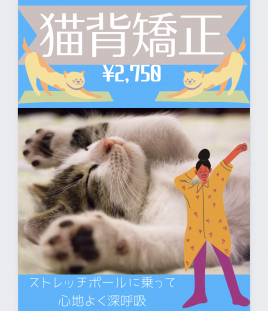 Miyu鍼灸院 猫背矯正のメニュー画像