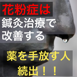 鍼灸・整骨 kiwami(男性専門の鍼灸整骨院) 花粉症の治療のメニュー画像
