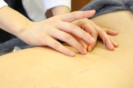 美容鍼灸サロンSowan 体質改善オーダーメイド鍼灸治療９0分のメニュー画像