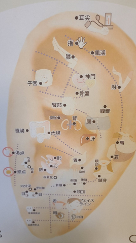 松鶴堂鍼灸院分院ヘルティカ 耳つぼ＋お腹の痩身鍼のメニュー画像