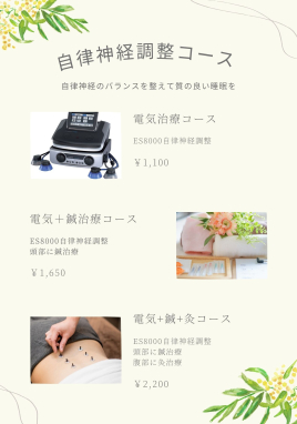 たきがみ鍼灸整骨院 自律神経調整のメニュー画像