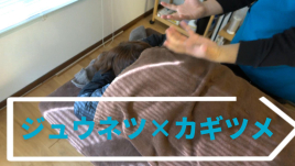 鍼灸屋　小久保拓郎 鍼灸×整体　お疲れの方　１５０分コース　のメニュー画像