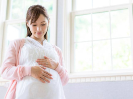 ひきま鍼灸院子宝ラボ坂戸店 逆子はりのメニュー画像