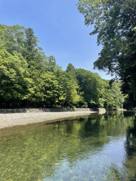 歯やお顔の痛み・しびれのお悩みに　YNSAの紗楽鍼灸院 ＹＮＳＡ単独施術のメニュー画像
