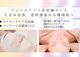 さつき鍼灸整骨院 エイジングケア美容鍼+国内最高濃度CO2のメニュー画像