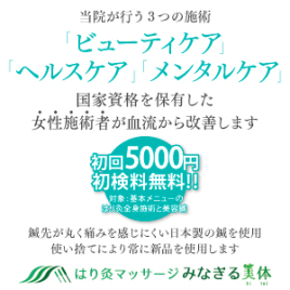 はり灸マッサージ　みなぎる美体　橋本分院 【初回】はり灸全身鍼灸のメニュー画像