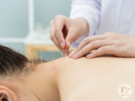 銀のすず 【初めての方】一般鍼灸治療コースのメニュー画像