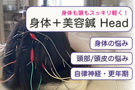 新駒鍼灸院 身体の鍼灸 + 美容鍼 Headのメニュー画像