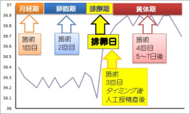 はり・きゅう院 Saras湘南 自然周期調整法のメニュー画像