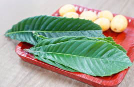 はり・きゅう整骨院　からださぽーと ビワの葉灸（オプション）のメニュー画像