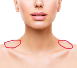 鍼処FUJINUMA 栃木院 ルート指圧整体　45分　(女性限定)のメニュー画像