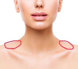 鍼処FUJINUMA 東京院 ルート指圧整体　45分　(女性限定)のメニュー画像