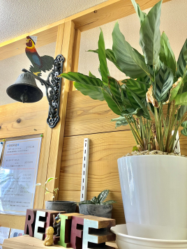 はりきゅう治療院　relife 整体マッサージのメニュー画像