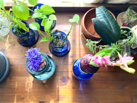 新駒鍼灸院 マッサージ 　30分　（ オプション ）のメニュー画像