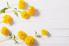 鍼灸サロンagute-アグーテ- 【自律神経】自律神経調整コースのメニュー画像