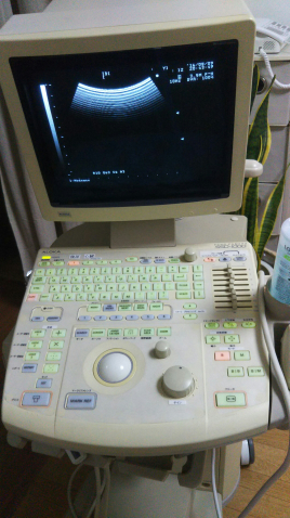 はる鍼灸治療院 逆子（骨盤位）治療のメニュー画像