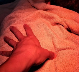 緑が丘はり灸治療院 【初回】整体・筋膜リリース・リラクのメニュー画像