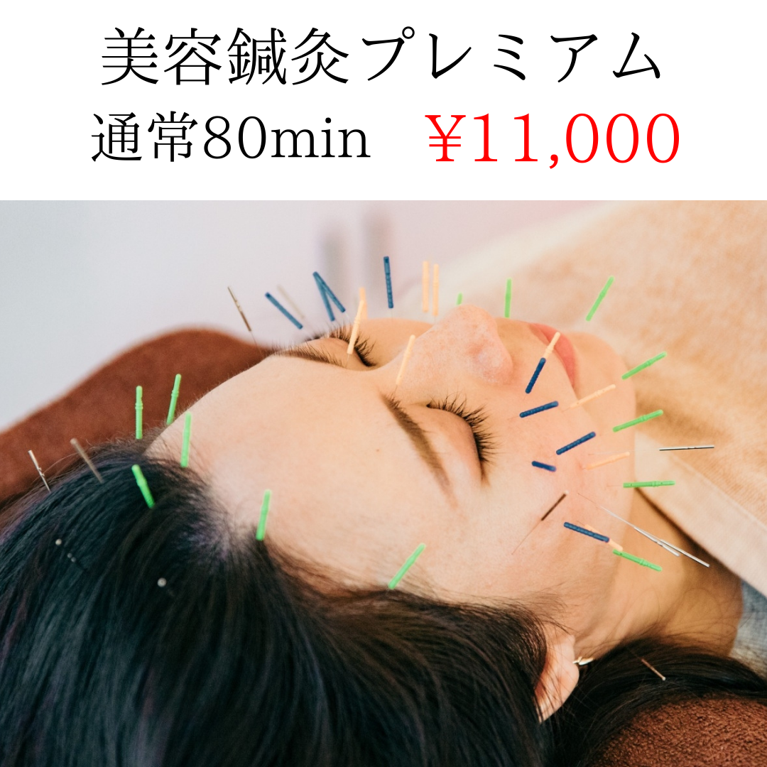✨Mercury鍼灸サロン✨　美容専門 【再来】美容鍼灸プレミアムのメニュー画像
