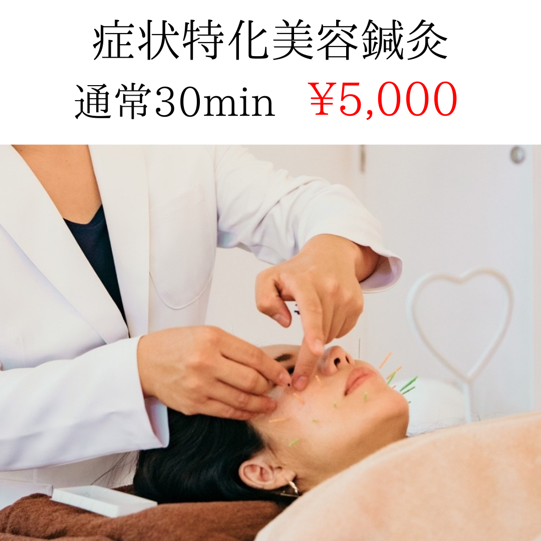 ✨Mercury鍼灸サロン✨　美容専門 症状特化美容鍼灸のメニュー画像