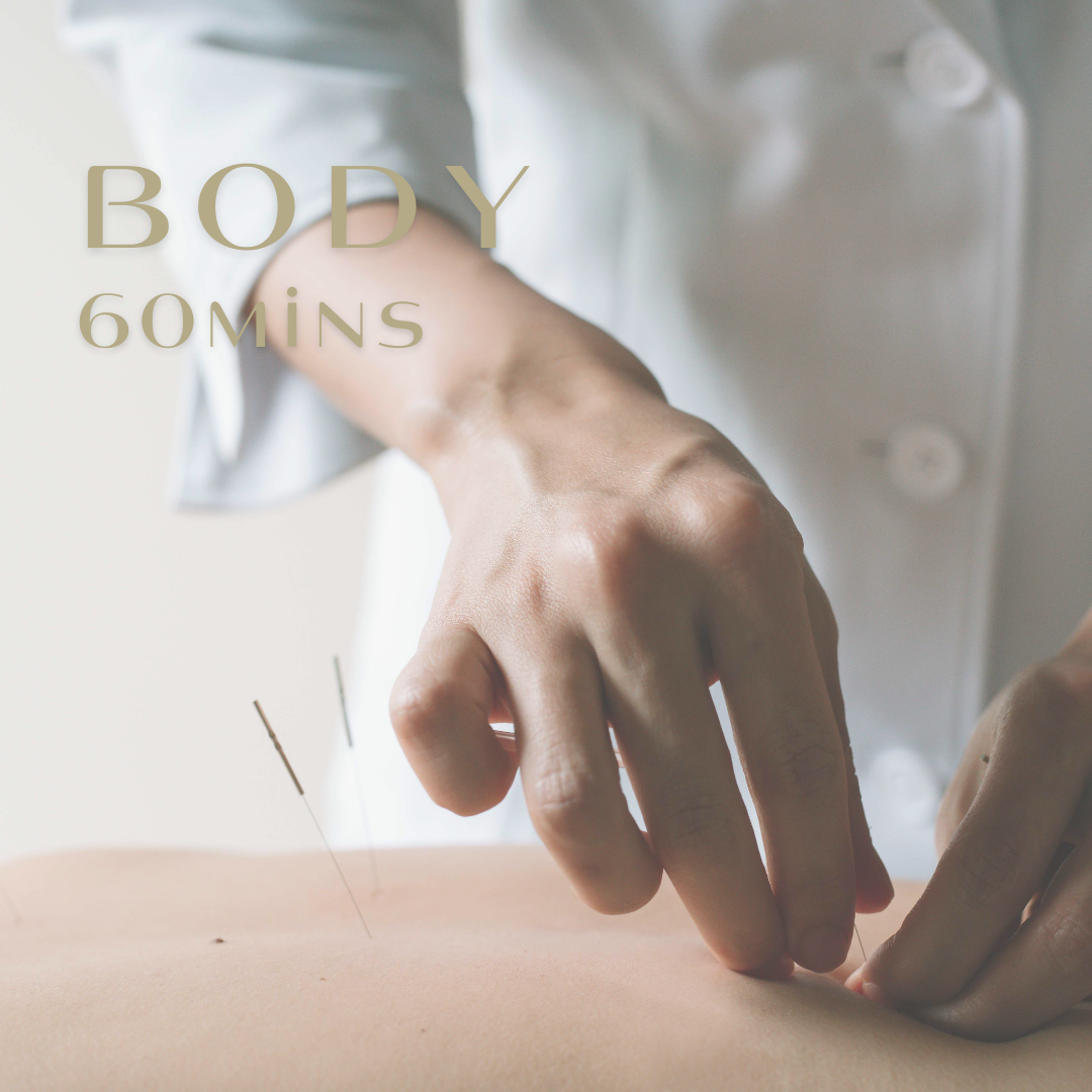 she 鍼灸トリートメントサロン BODY 60min.のメニュー画像