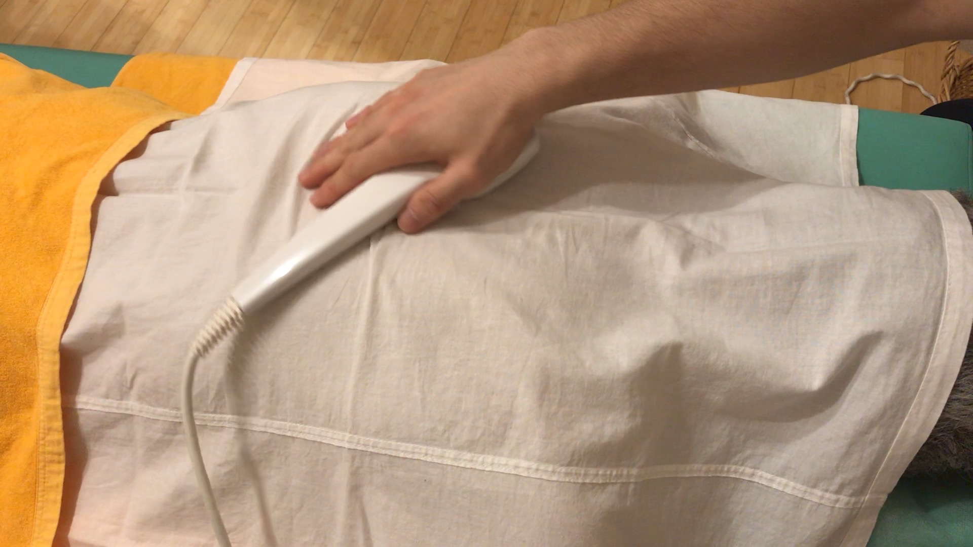 東洋堂治療院　漢方・自然薬 東洋堂 温熱治療　のメニュー画像